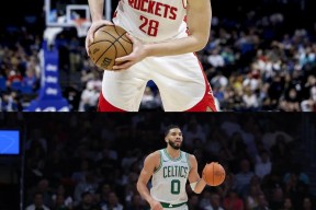 南宫28-塔图姆新星重返赛场表现突出，法国队前途光明！上演精彩一战的简单介绍